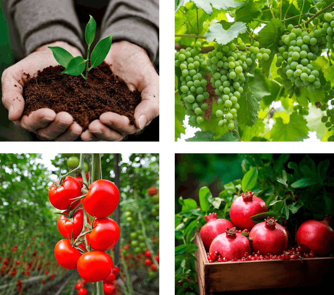 Ekhande Agro Fertilizers Pvt Ltd